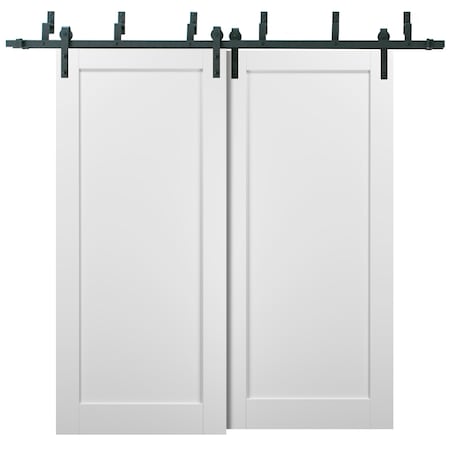Sartodoors Barn Bypass Interior Door, 64" x 84", White QUADRO4111BBB-WS-6484